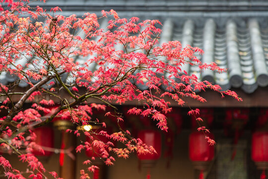 湖州铁佛寺