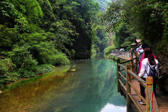 张家界大峡谷栈道