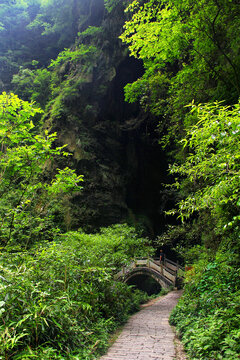 张家界大峡谷大鲵洞