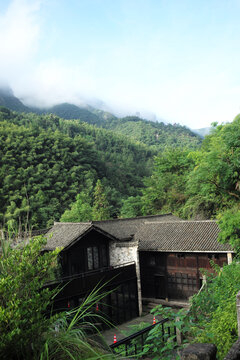 野马岭村民宿山景