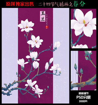 24節(jié)氣春分玉蘭