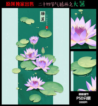 24节气大暑睡莲