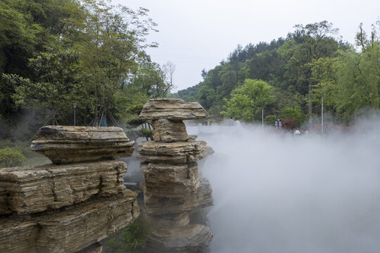 美丽雾景