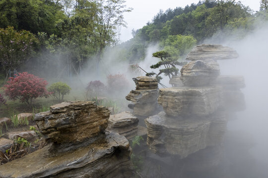 美丽雾景