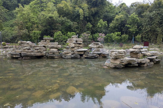 美丽雾景