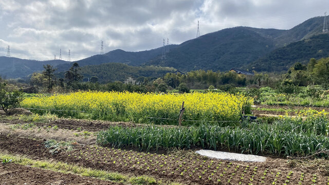 田园美景