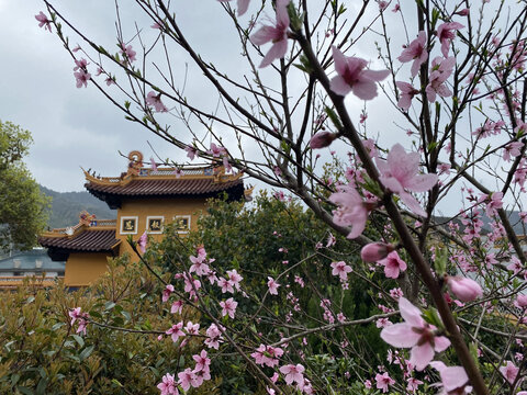 舟山化成禅寺