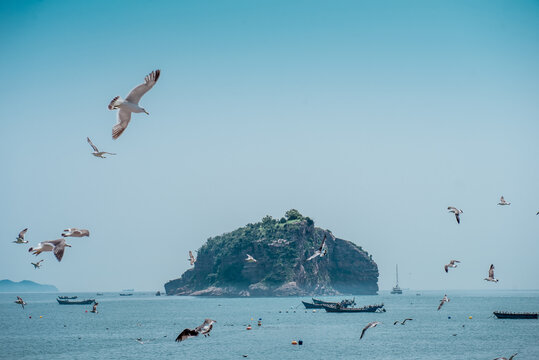 大连棒棰岛