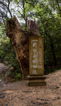 浙江台州天台山国清寺