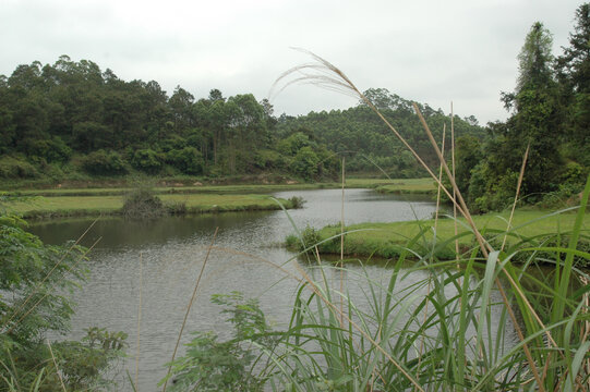 溪水山川