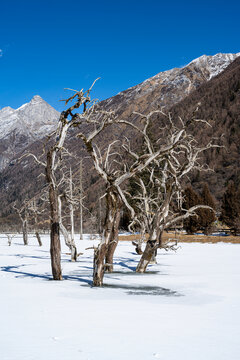 四姑娘山风景