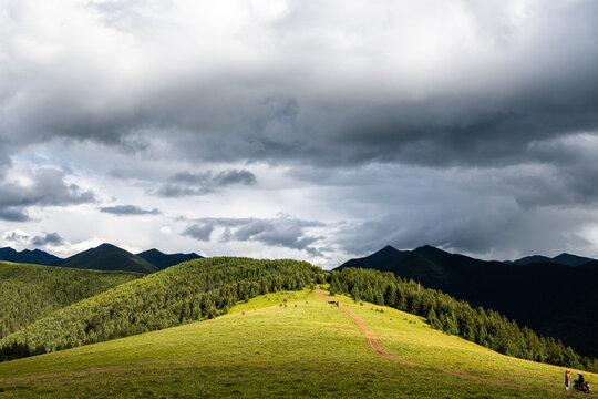 航拍川西高原草地风景