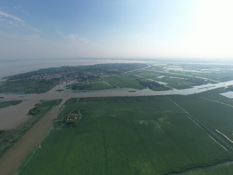 航拍沛县千鸟湖湿地景区