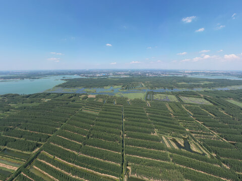 航拍沛县千岛湿地景区