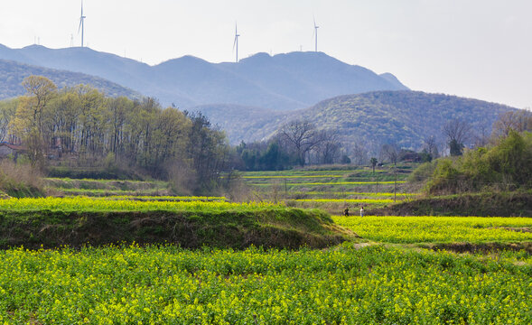 田园风光