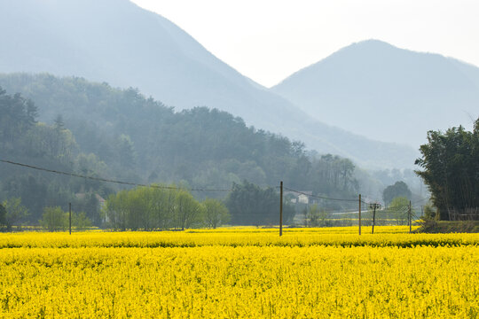 田园风光