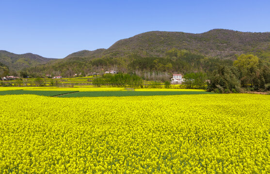 田园风光