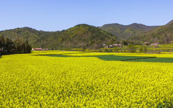 田园风光