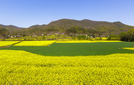 田园风光