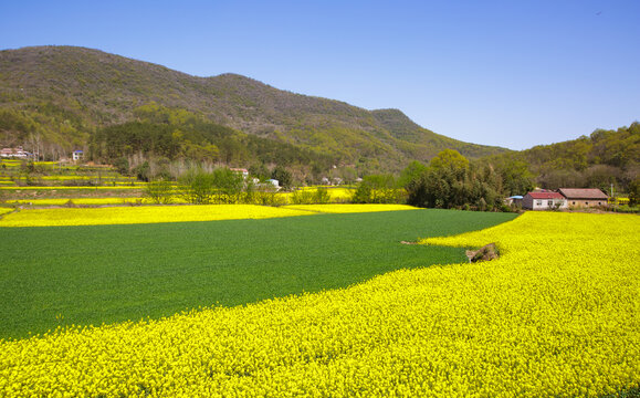 田园风光