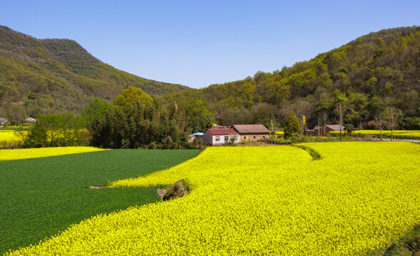 田园风光