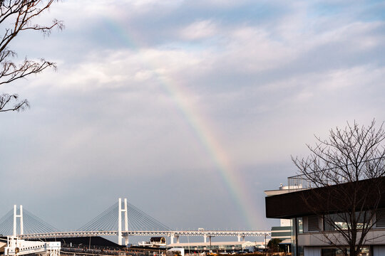 横滨彩虹