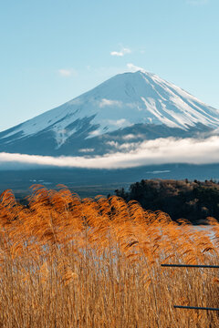 富士山特写