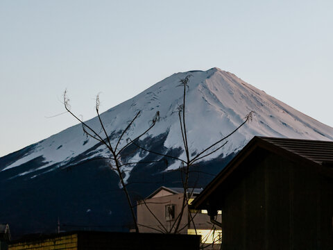 富士山