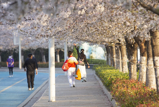 花季