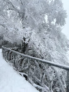 天门山雾凇