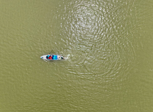 浆板运动