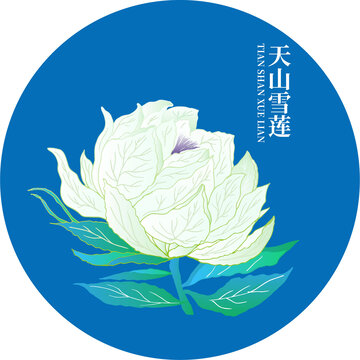 天山雪蓮