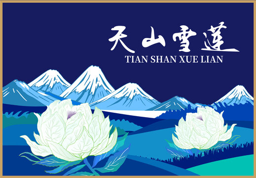 雪蓮包裝