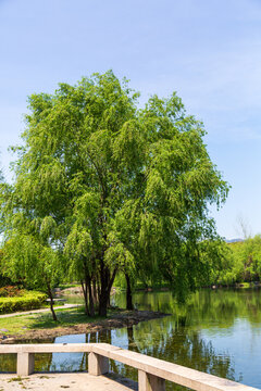 湖州山水清音景区