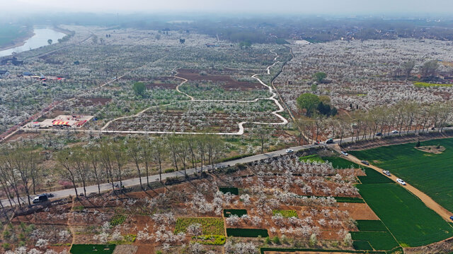 航拍刘村古梨园