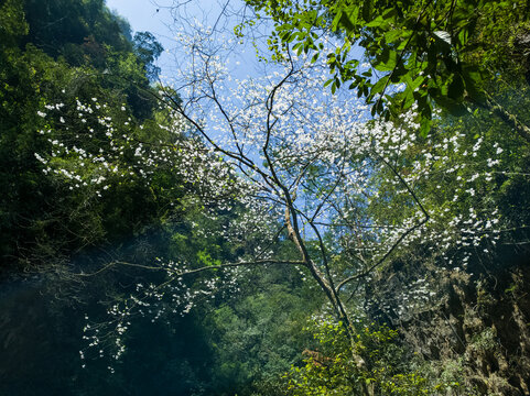 黑山谷