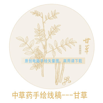 甘草線稿