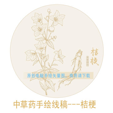 桔梗線稿