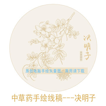 決明子線稿