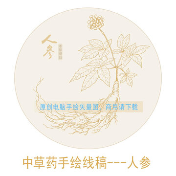 人參線稿