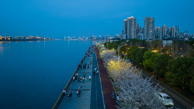 杭州滨江城市夜景航拍