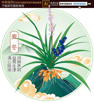 麥冬