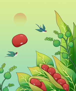 國(guó)風(fēng)紅豆谷物手繪插畫(huà)