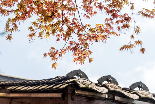 红枫与古建筑