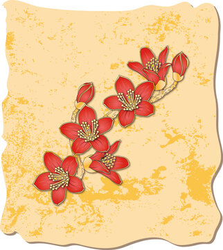 木棉花
