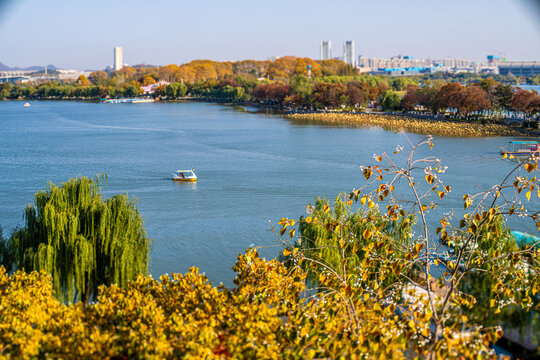 南京玄武湖秋天风景