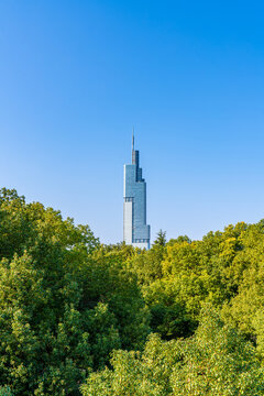 南京秋天建筑风景