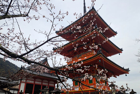 日本京都清水寺