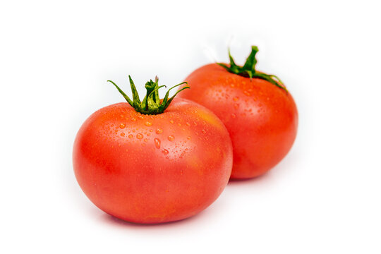 白色背景西红柿番茄