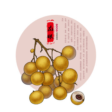 手繪龍眼